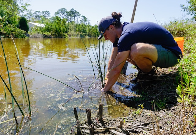 person squating by the waters edge in wetlands landscape, hands down in the water